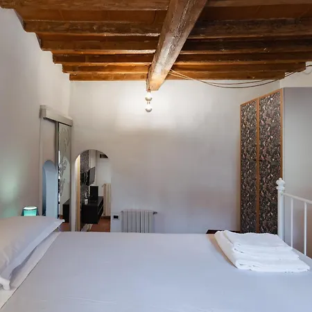 Charming In The Heart Of Santo Spirito 公寓 *