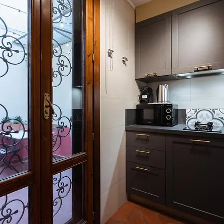 公寓 Charming In The Heart Of Santo Spirito 佛罗伦萨