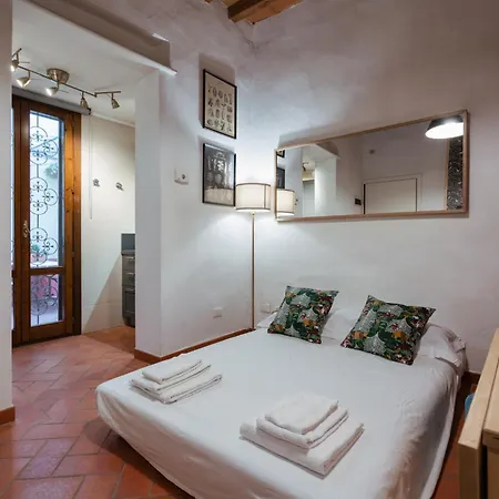Apartment Charming In The Heart Of Santo Spirito
