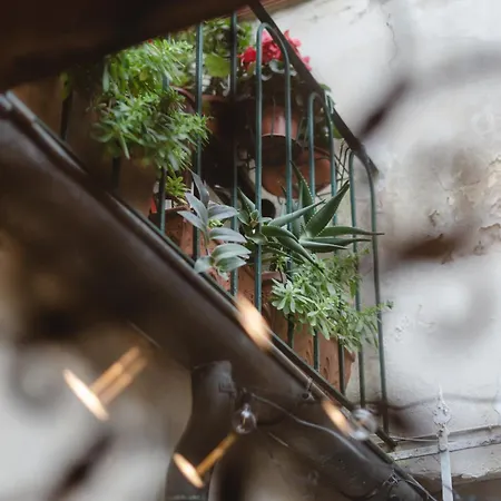 Charming In The Heart Of Santo Spirito Apartment Florenz
